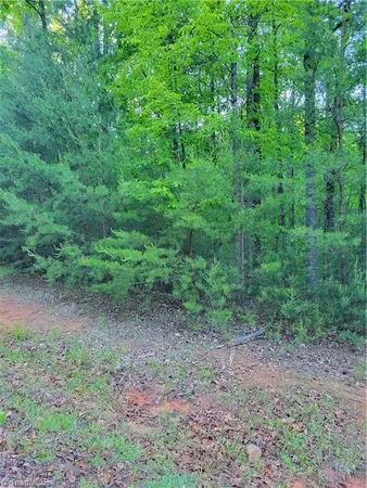 $12,500 | Lot 81 Sutter's Ridge Road, McGrady, NC 28649