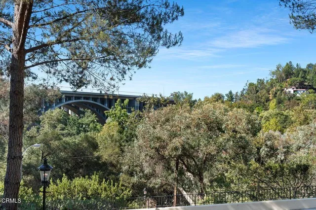a view of a garden with a tree
