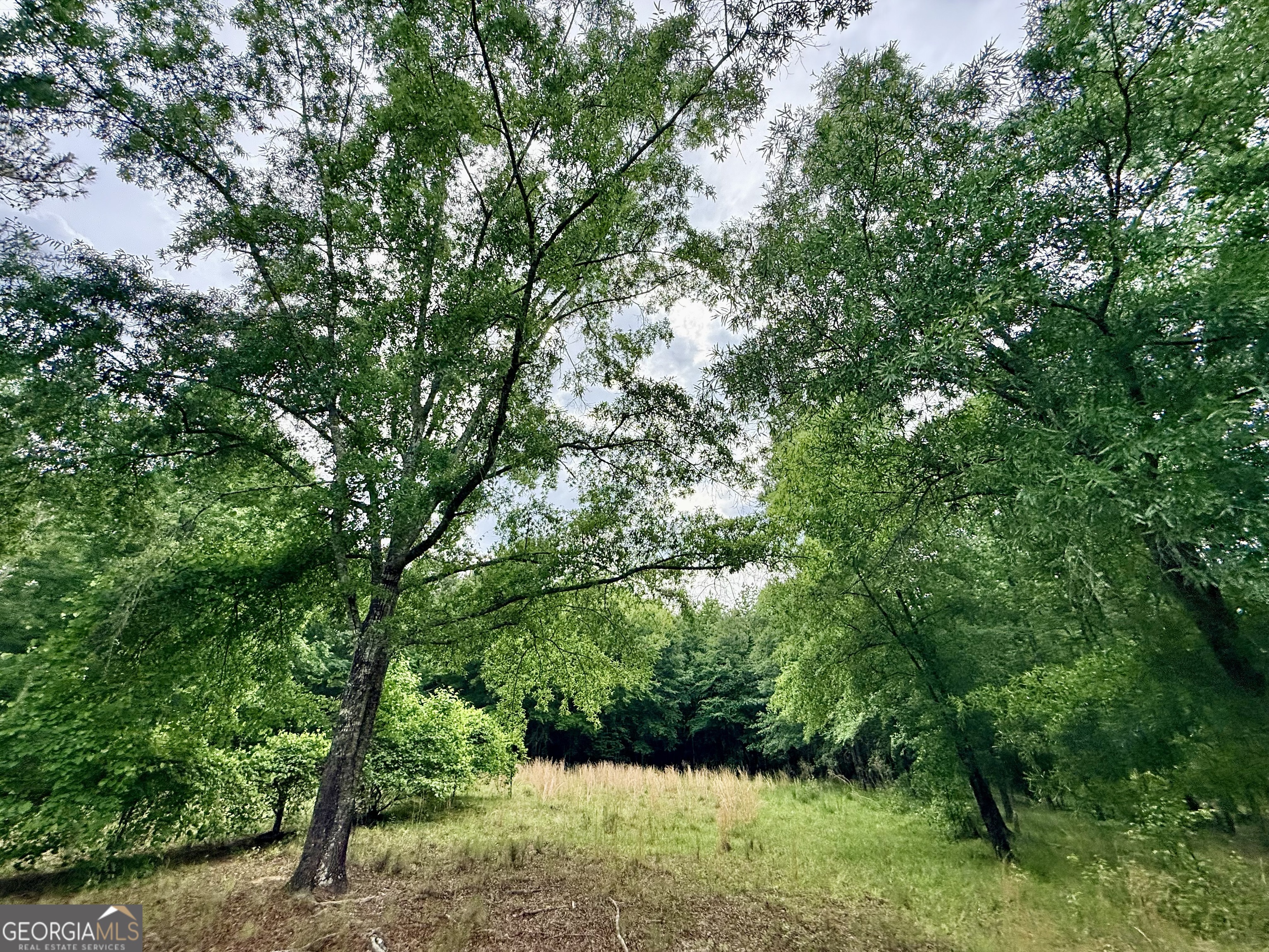 715 Fulsome Creek Road Sparta, GA 31087 - Photo 107 of 117