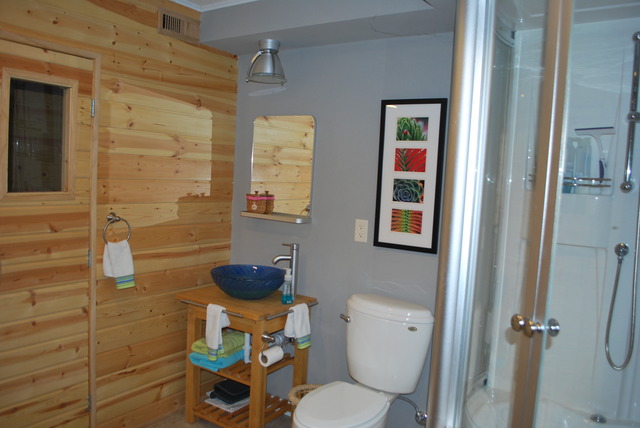 9217 Oak Ridge Drive Rochelle, IL 61068 - Photo 17 of 25 a bathroom with a toilet and a shower