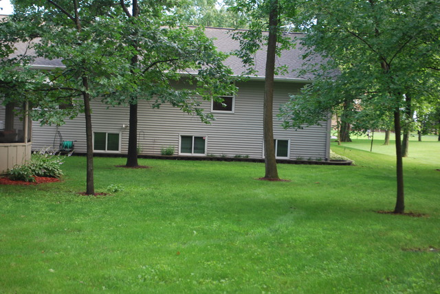 9217 Oak Ridge Drive Rochelle, IL 61068 - Photo 25 of 25 a view of a house with backyard