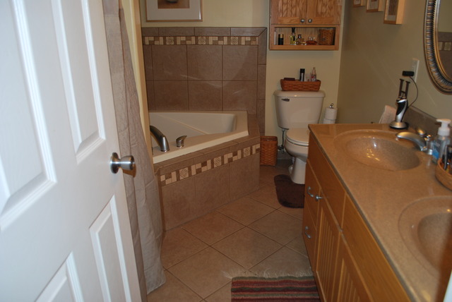 9217 Oak Ridge Drive Rochelle, IL 61068 - Photo 10 of 25 a bathroom with a sink a toilet and shower