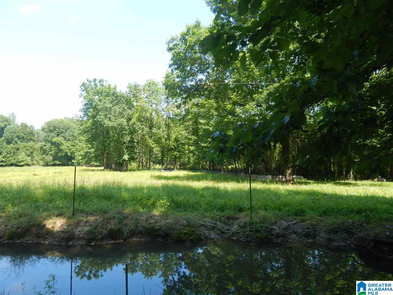 417 Old Stagecoach Road Woodstock, AL 35188 - Photo 3 of 17
