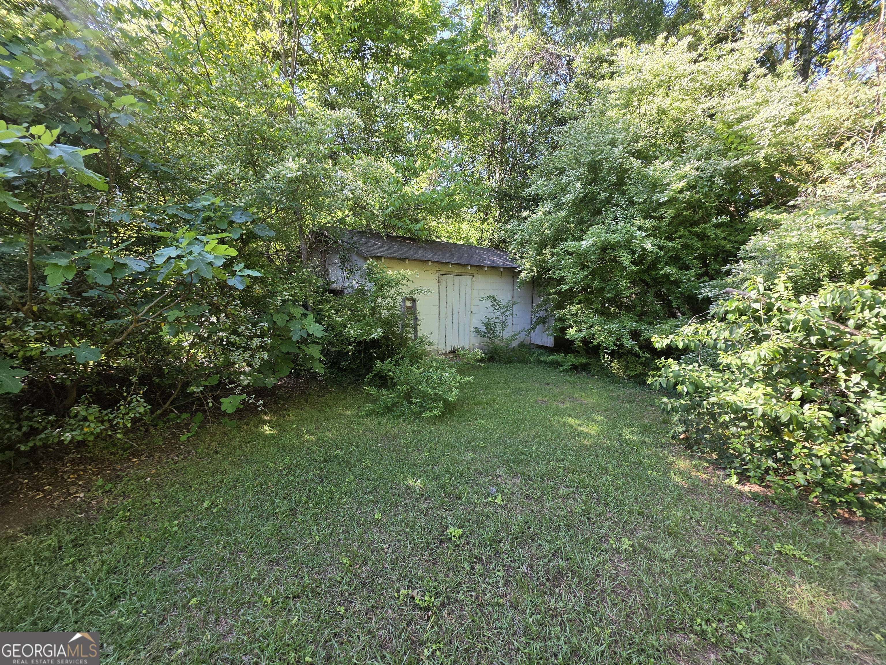 109 Springdale Drive Washington, GA 30673 - Photo 29 of 35 a view of a backyard with a plants and large trees
