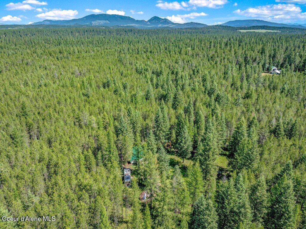 2013 Homestead Road Athol, ID 83801 - Photo 17 of 20 --32.jpg-SMALL