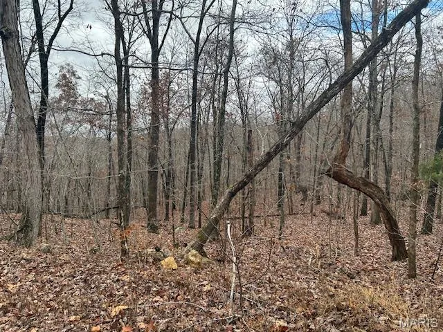 $59,500 | 1210 Hidden Vly Lakes, Annapolis, MO 63620