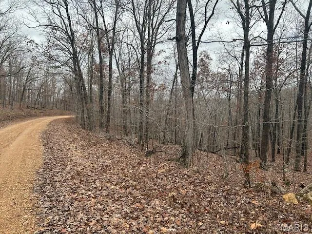 $59,500 | 1210 Hidden Vly Lakes, Annapolis, MO 63620