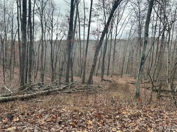 $59,500 | 1210 Hidden Vly Lakes, Annapolis, MO 63620