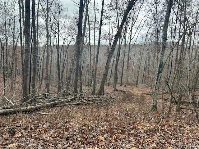 $59,500 | 1210 Hidden Vly Lakes, Annapolis, MO 63620