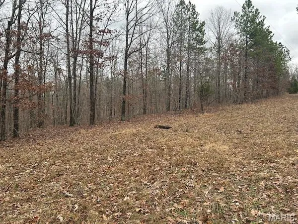$59,500 | 1210 Hidden Vly Lakes, Annapolis, MO 63620