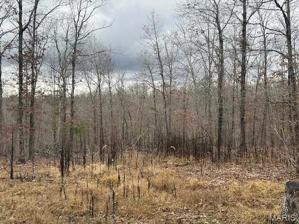 $59,500 | 1210 Hidden Vly Lakes, Annapolis, MO 63620