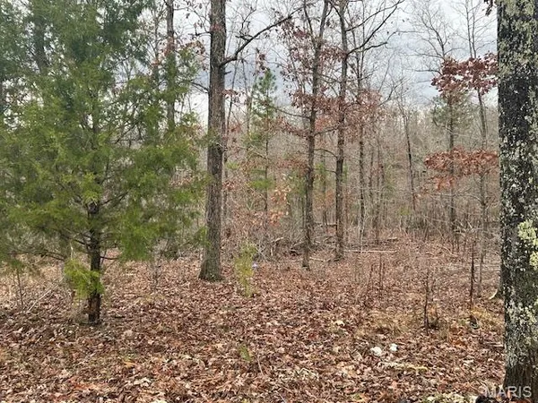 $59,500 | 1210 Hidden Vly Lakes, Annapolis, MO 63620