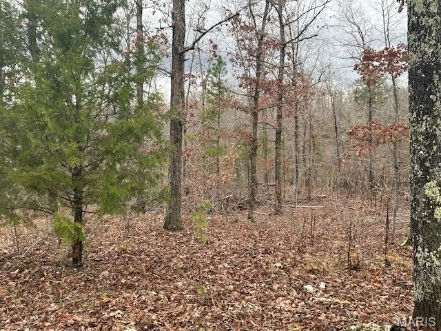 $59,500 | 1210 Hidden Vly Lakes, Annapolis, MO 63620