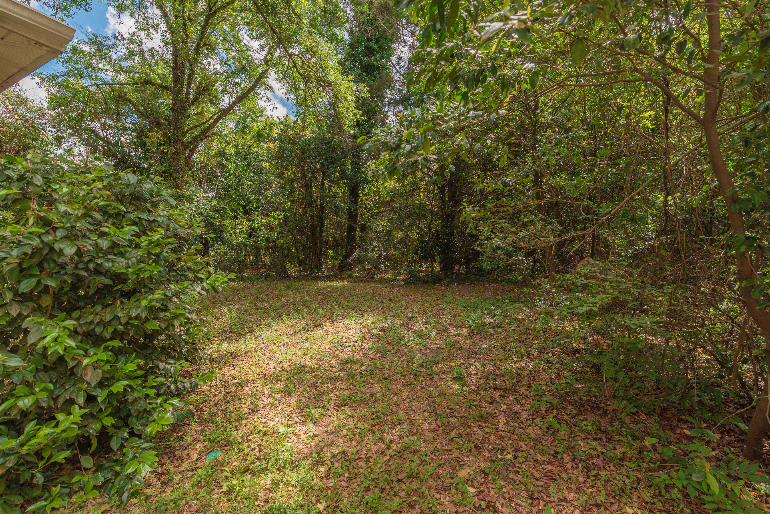 5820 Springfield Road Williston, SC 29853 - Photo 41 of 46 Backyard