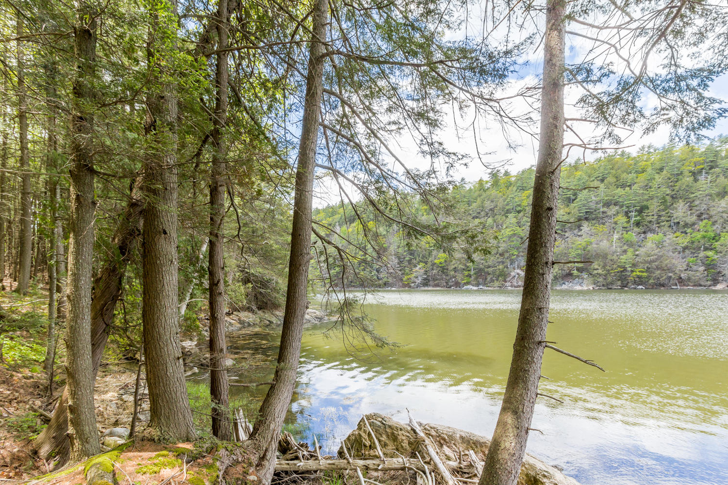 66 Cushman Point Road Wiscasset, ME 04578 - Photo 30 of 35 20190604PC-51080