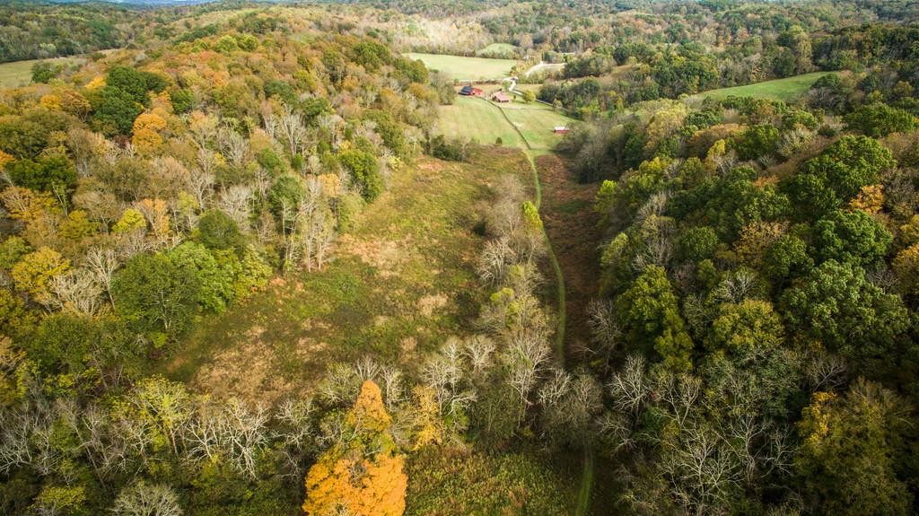 3811 Robinson Road Franklin, TN 37064 - Photo 22 of 24 Gallery Image 22