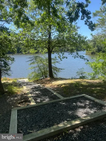 a view of a trees in a yard