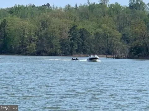 a view of a lake in middle of forest