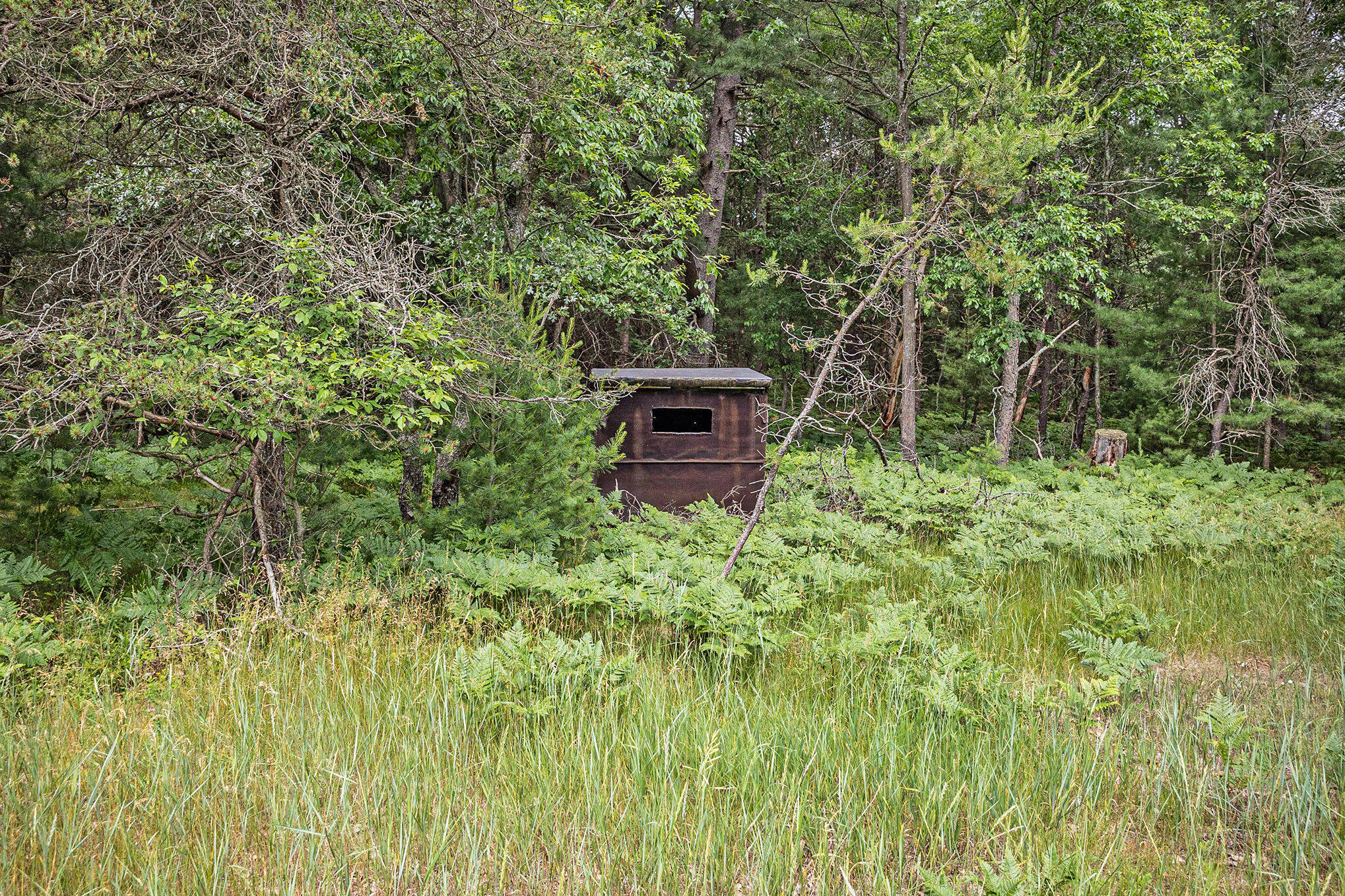 3985 Linke Road Manistee, MI 49660 - Photo 46 of 50 Deer blind in clearing