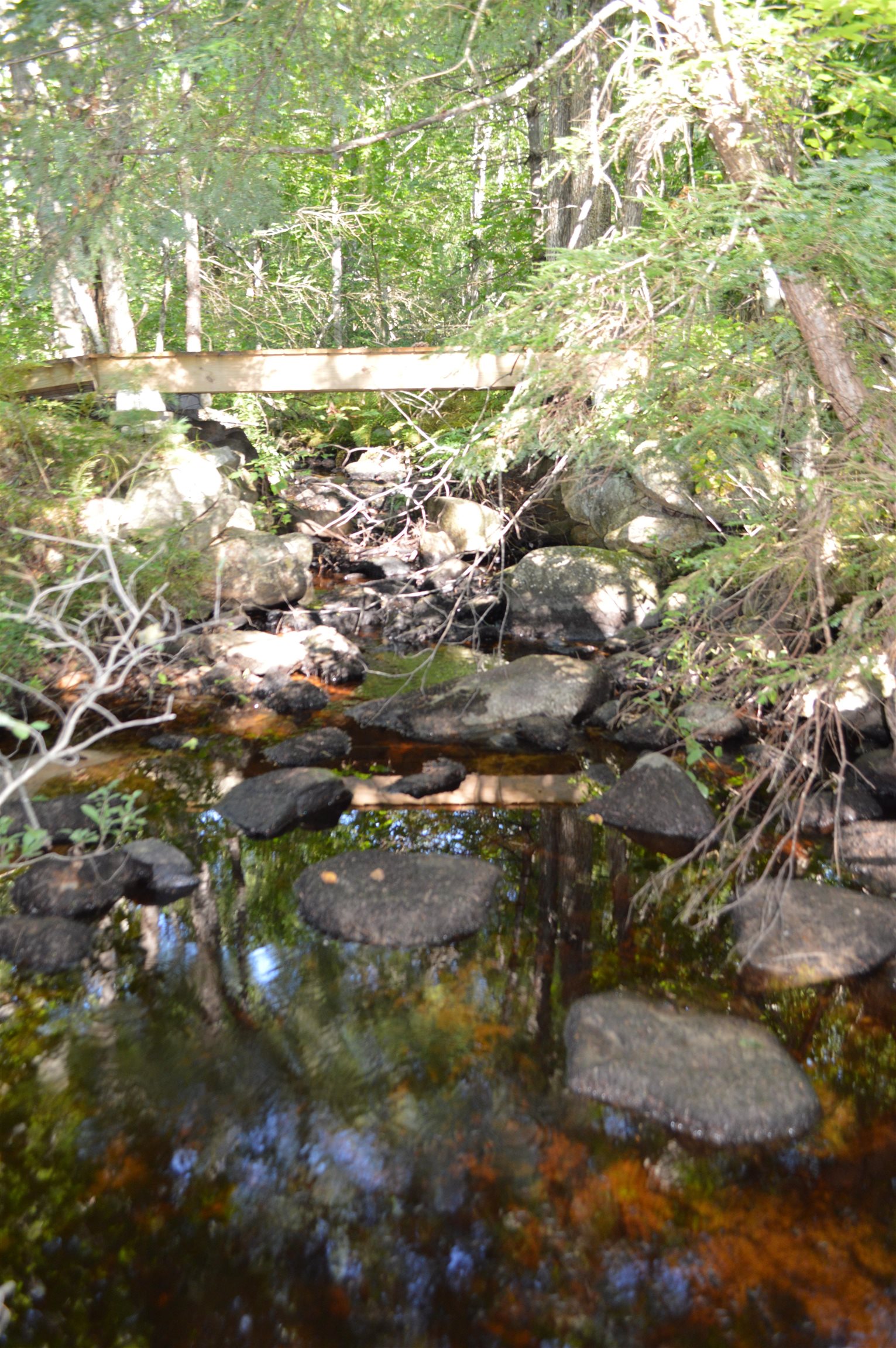 920 Pine River Pond Road Wakefield, NH 03872 - Photo 30 of 37