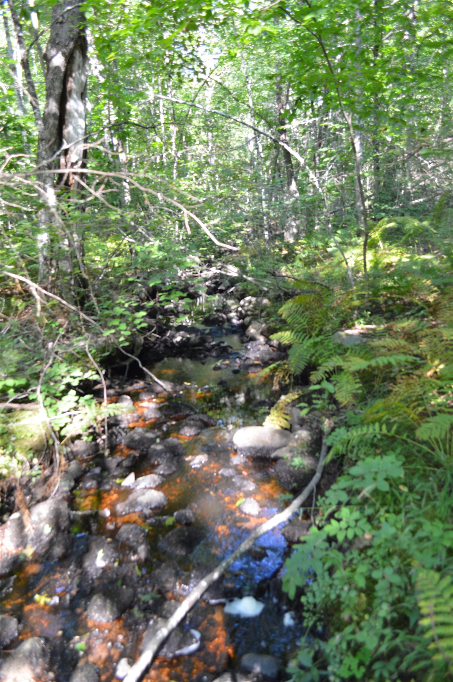 920 Pine River Pond Road Wakefield, NH 03872 - Photo 31 of 37