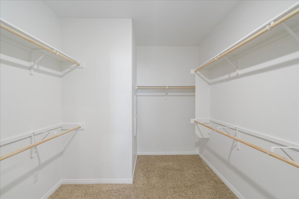 2513 Caleb Asher Loop Round Rock, TX 78665 - Photo 19 of 40 a view of walk in closet