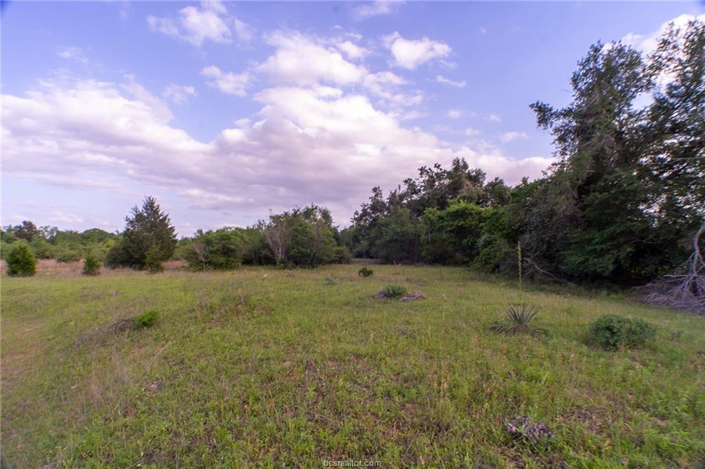 9525 South Hickory Loop Calvert, TX 77837 - Photo 3 of 20 View of yard