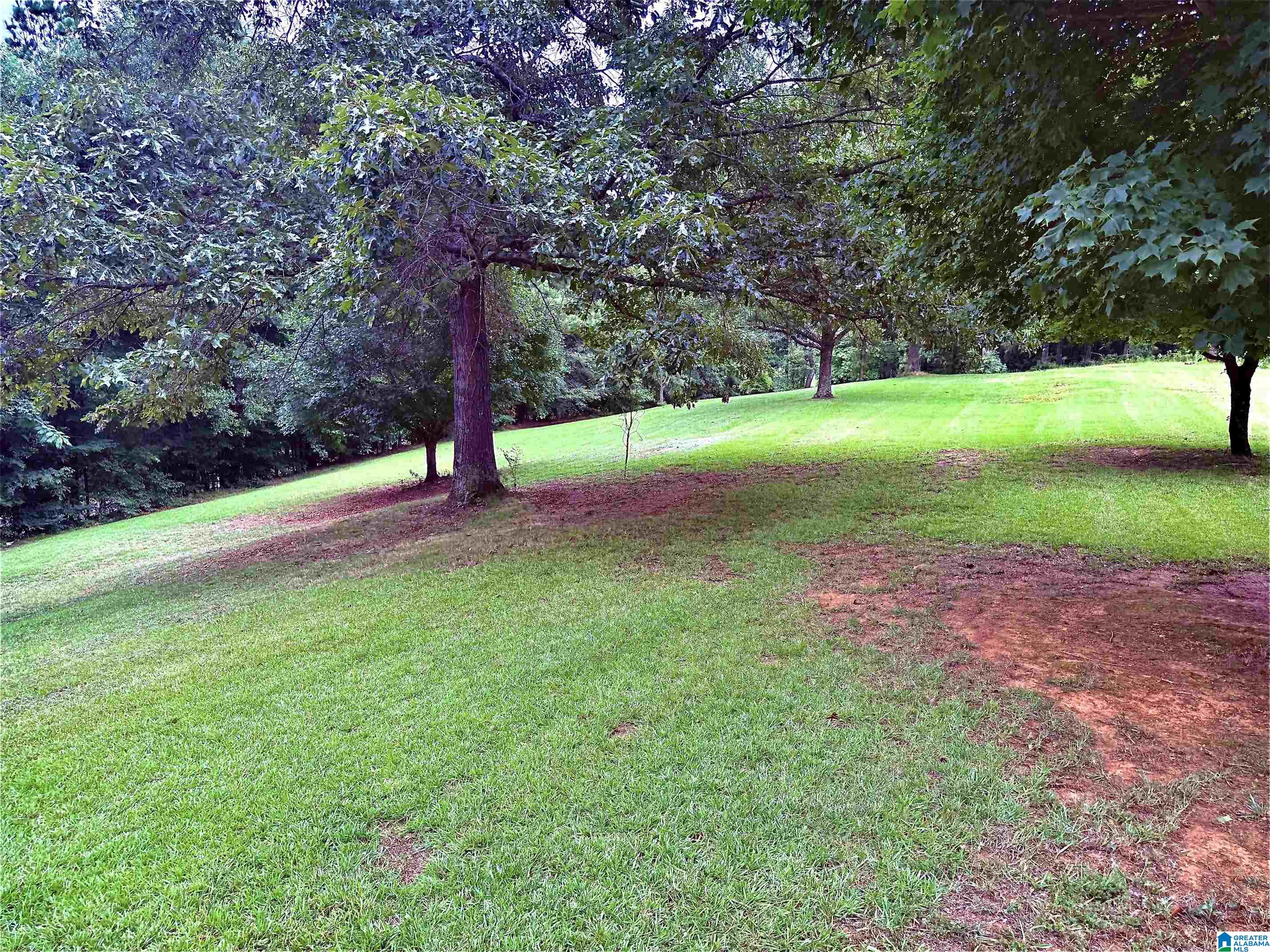 785 Shady Grove Road Piedmont, AL 36272 - Photo 68 of 70