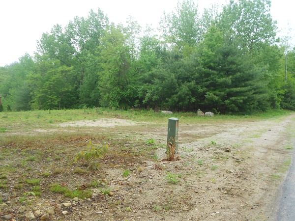Lot 12 Gilbert Road Southampton, MA 01073 - Photo 5 of 5 a view of a tiny plant