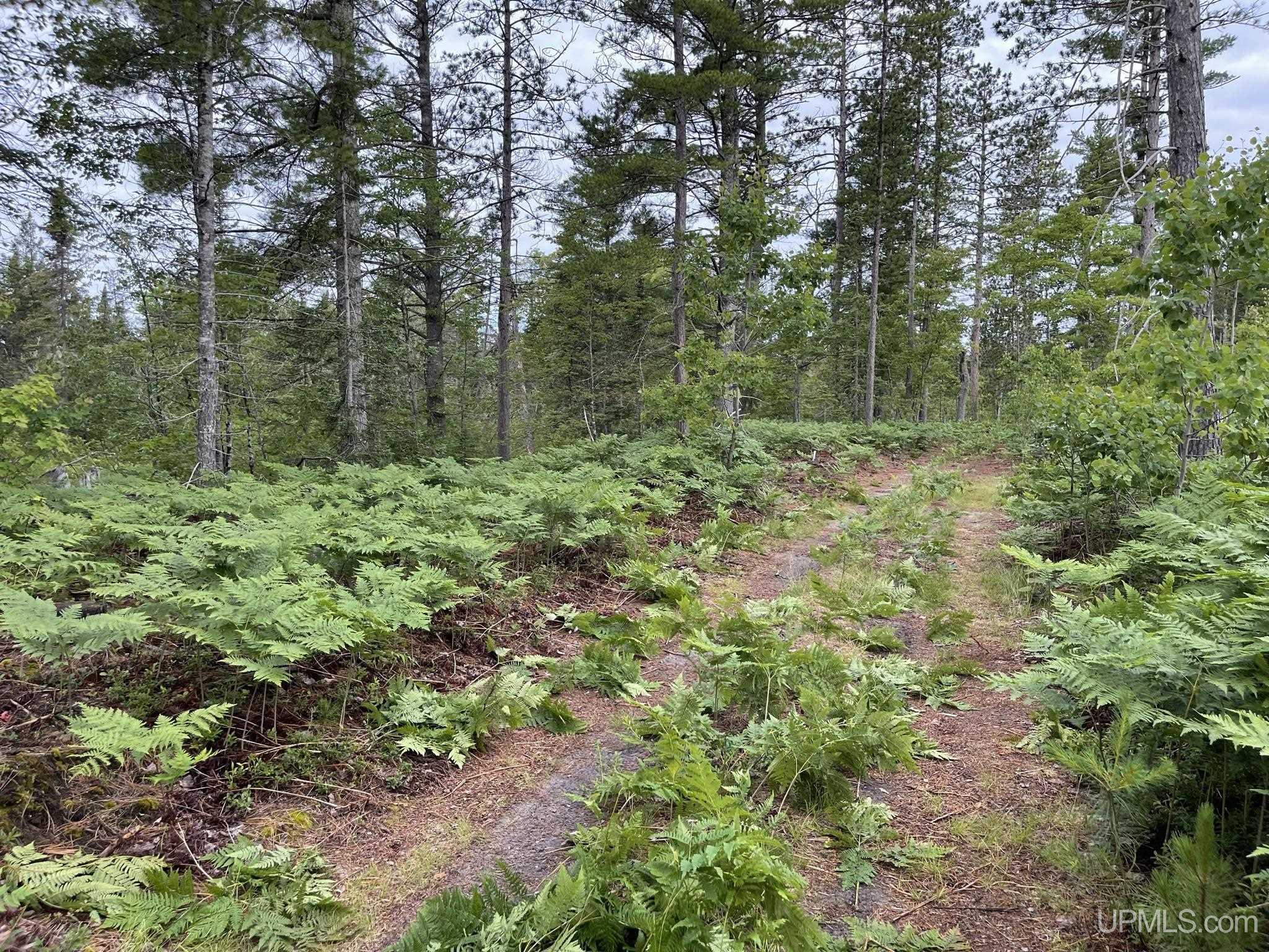 Tbd Tbd Hay Meadow Road Manistique, MI 49854 - Photo 44 of 51