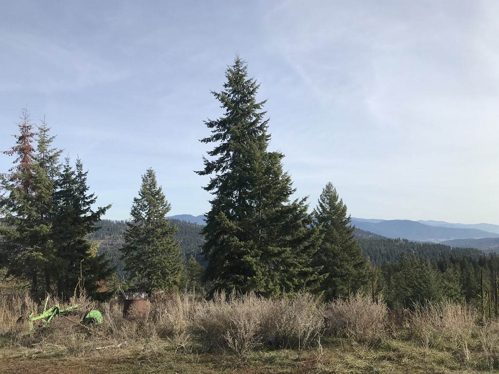 1258 Basin Ridge Way, Unit 1248 1285 BASIN RIDGE WAY Colville, WA 99114 - Photo 11 of 19
