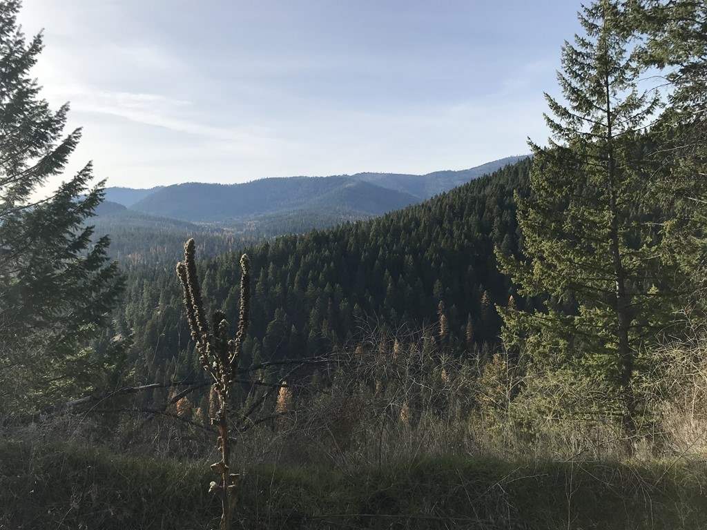 1258 Basin Ridge Way, Unit 1248 1285 BASIN RIDGE WAY Colville, WA 99114 - Photo 12 of 19