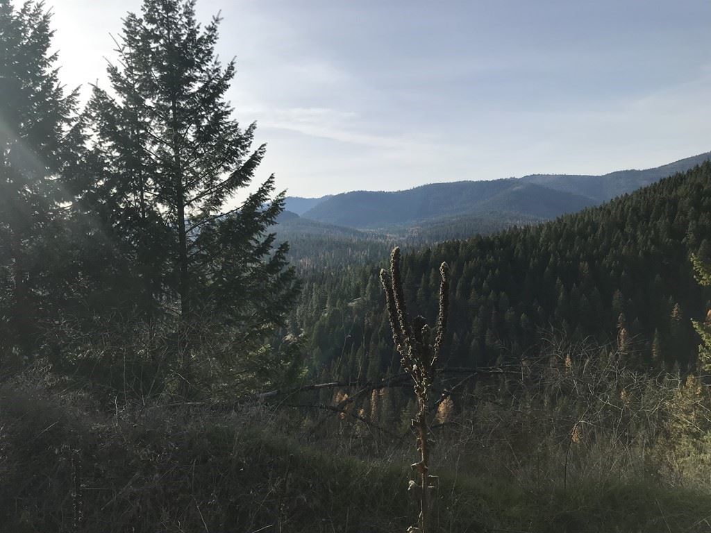 1258 Basin Ridge Way, Unit 1248 1285 BASIN RIDGE WAY Colville, WA 99114 - Photo 13 of 19