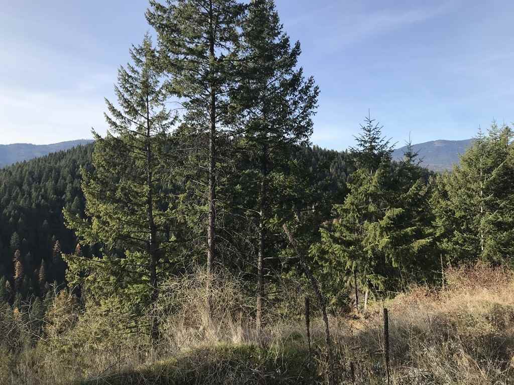 1258 Basin Ridge Way, Unit 1248 1285 BASIN RIDGE WAY Colville, WA 99114 - Photo 14 of 19