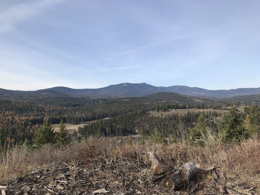 1258 Basin Ridge Way, Unit 1248 1285 BASIN RIDGE WAY Colville, WA 99114 - Photo 15 of 19