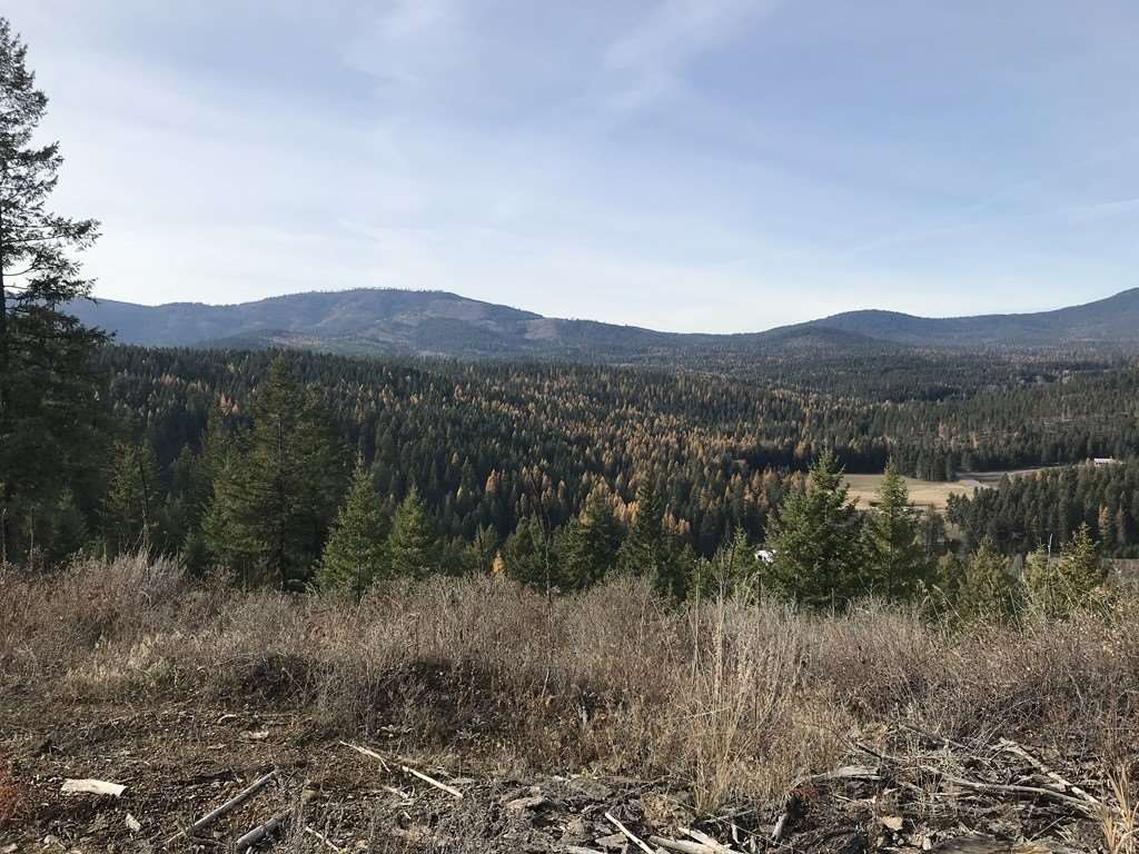 1258 Basin Ridge Way, Unit 1248 1285 BASIN RIDGE WAY Colville, WA 99114 - Photo 18 of 19