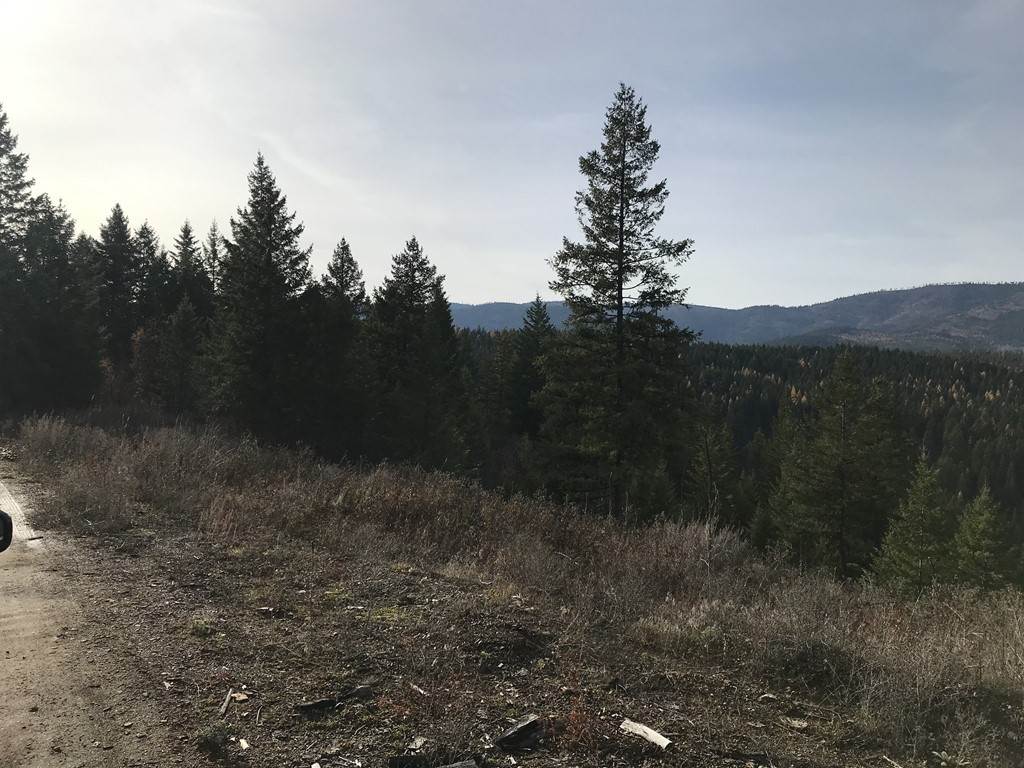 1258 Basin Ridge Way, Unit 1248 1285 BASIN RIDGE WAY Colville, WA 99114 - Photo 19 of 19
