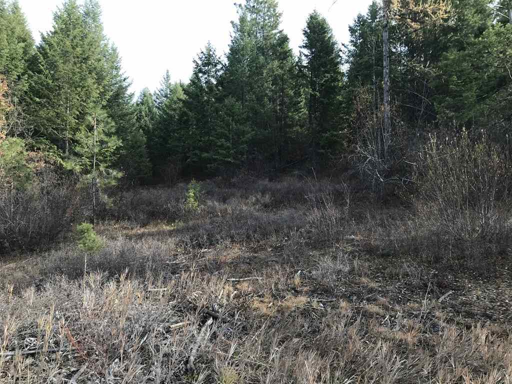1258 Basin Ridge Way, Unit 1248 1285 BASIN RIDGE WAY Colville, WA 99114 - Photo 3 of 19