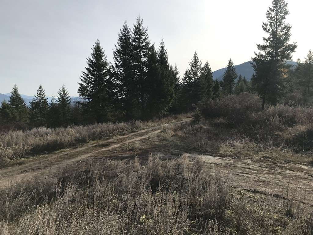 1258 Basin Ridge Way, Unit 1248 1285 BASIN RIDGE WAY Colville, WA 99114 - Photo 4 of 19