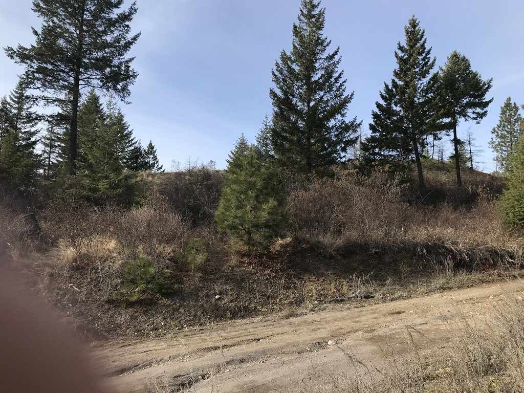 1258 Basin Ridge Way, Unit 1248 1285 BASIN RIDGE WAY Colville, WA 99114 - Photo 5 of 19