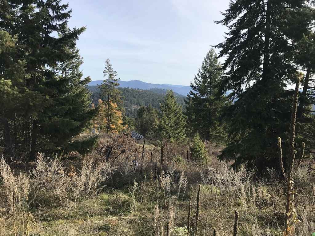 1258 Basin Ridge Way, Unit 1248 1285 BASIN RIDGE WAY Colville, WA 99114 - Photo 6 of 19