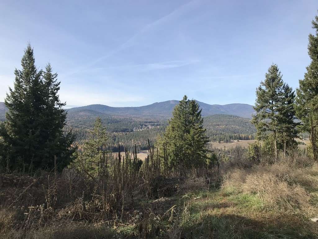 1258 Basin Ridge Way, Unit 1248 1285 BASIN RIDGE WAY Colville, WA 99114 - Photo 8 of 19