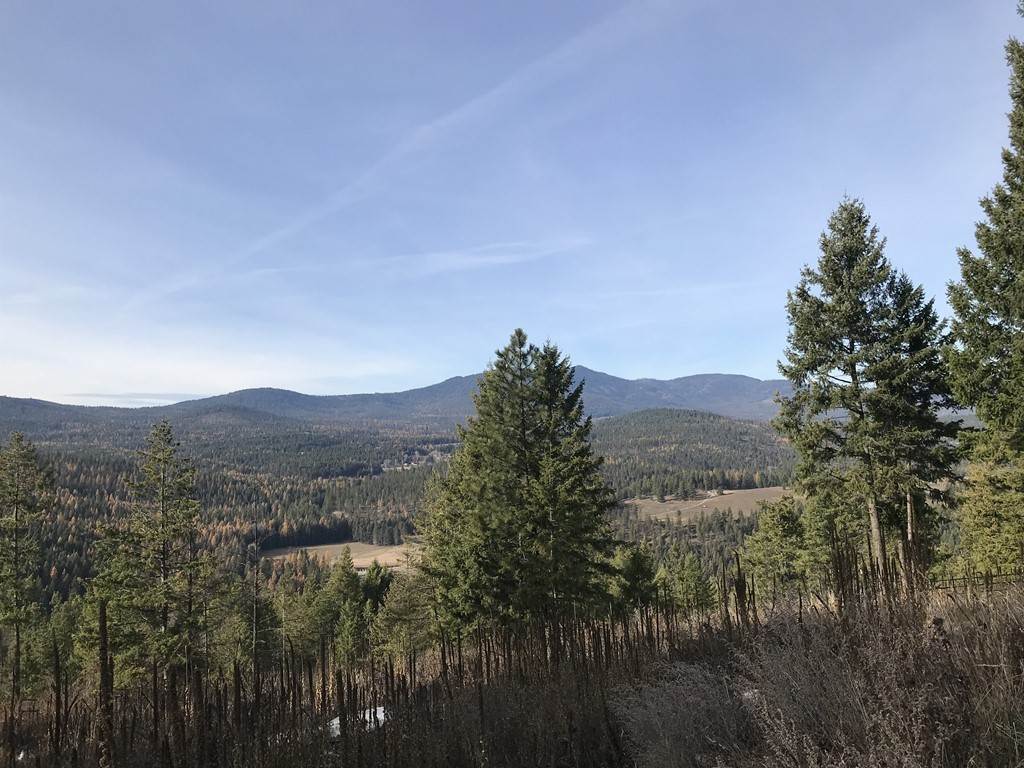 1258 Basin Ridge Way, Unit 1248 1285 BASIN RIDGE WAY Colville, WA 99114 - Photo 10 of 19