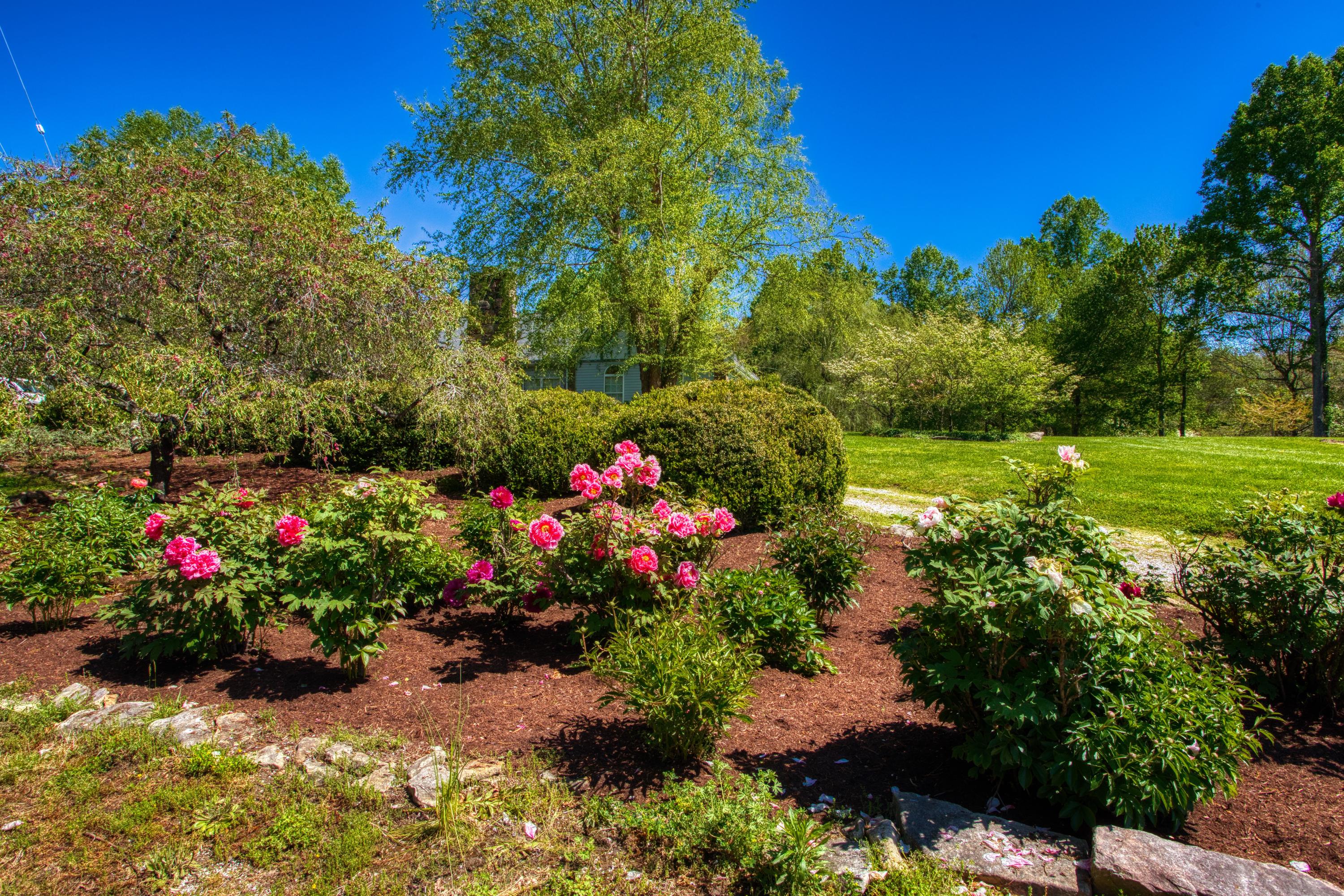 325 Old Wes Baldwin Road Jamestown, TN 38556 - Photo 23 of 37 Beautiful Flower Garden