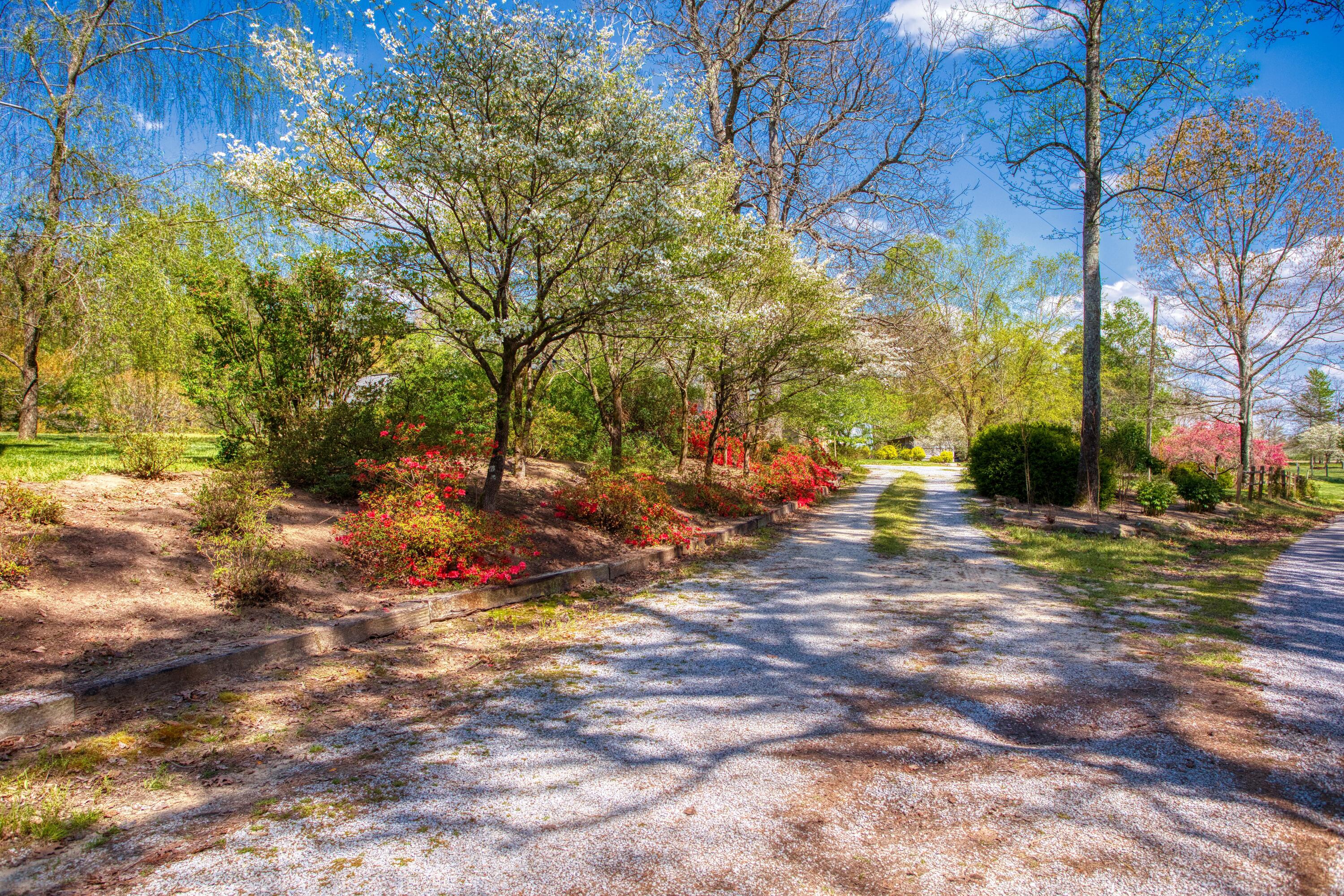 325 Old Wes Baldwin Road Jamestown, TN 38556 - Photo 24 of 37 Driveway