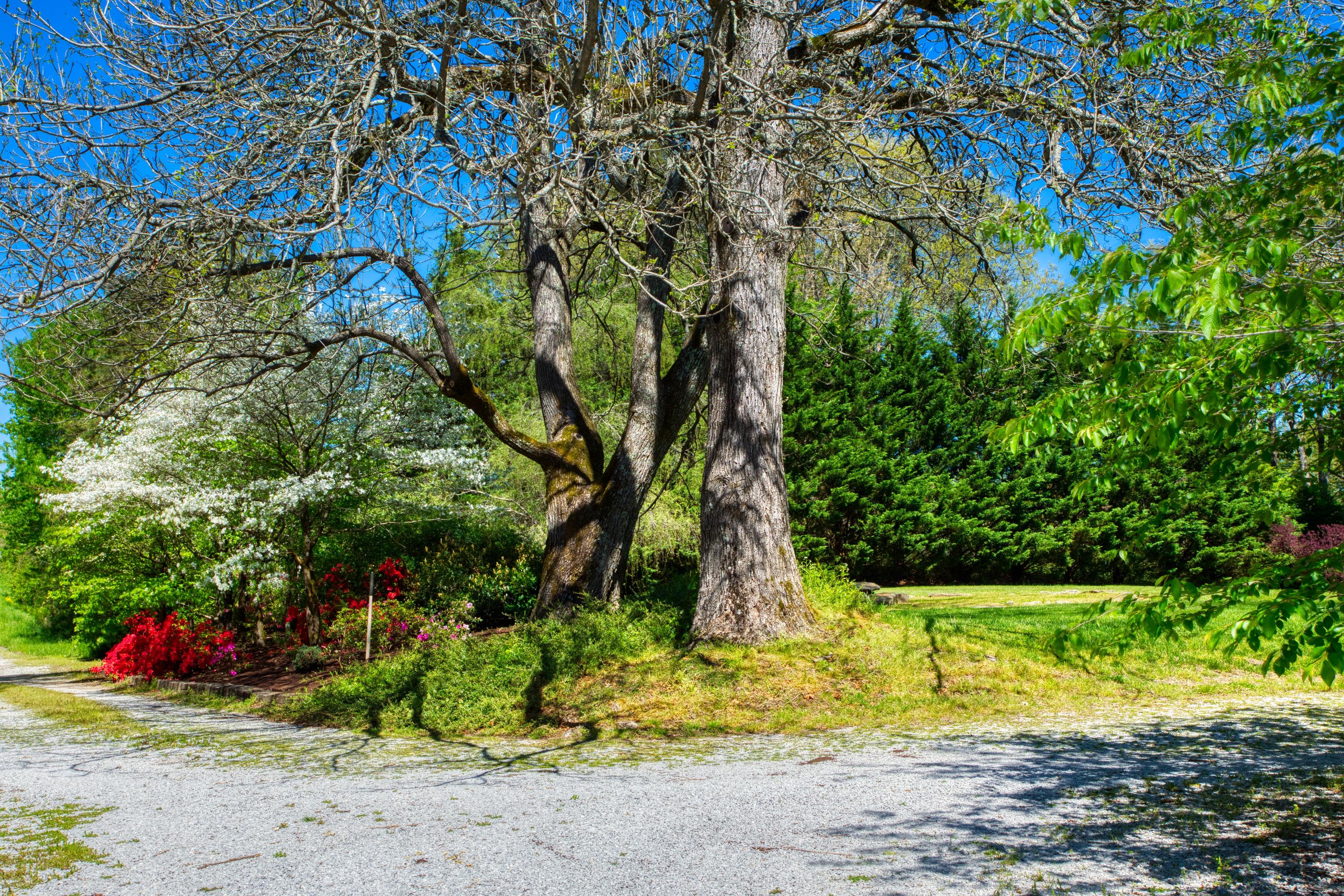 325 Old Wes Baldwin Road Jamestown, TN 38556 - Photo 26 of 37 Flowers