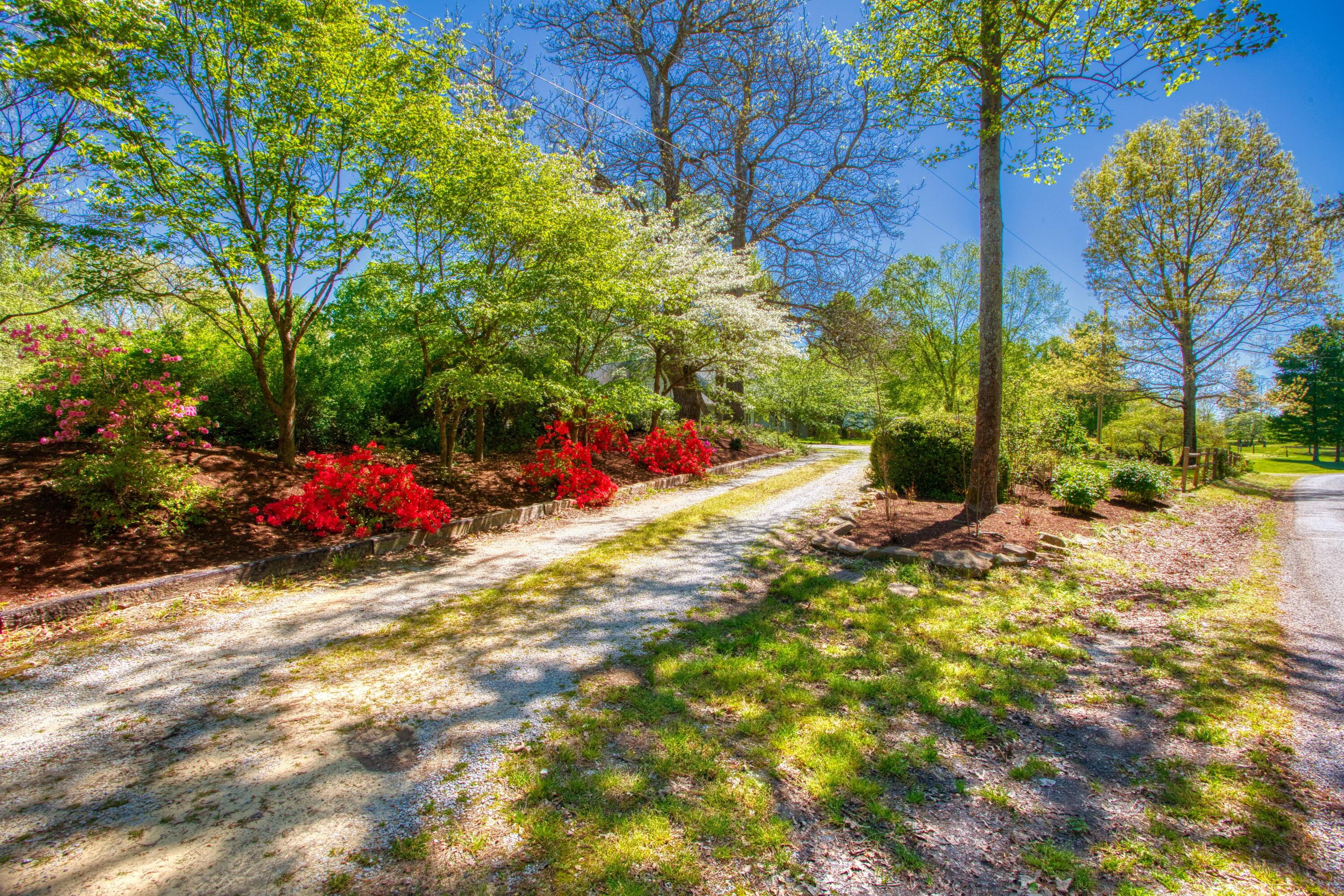 325 Old Wes Baldwin Road Jamestown, TN 38556 - Photo 28 of 37 Beautiful Entrance