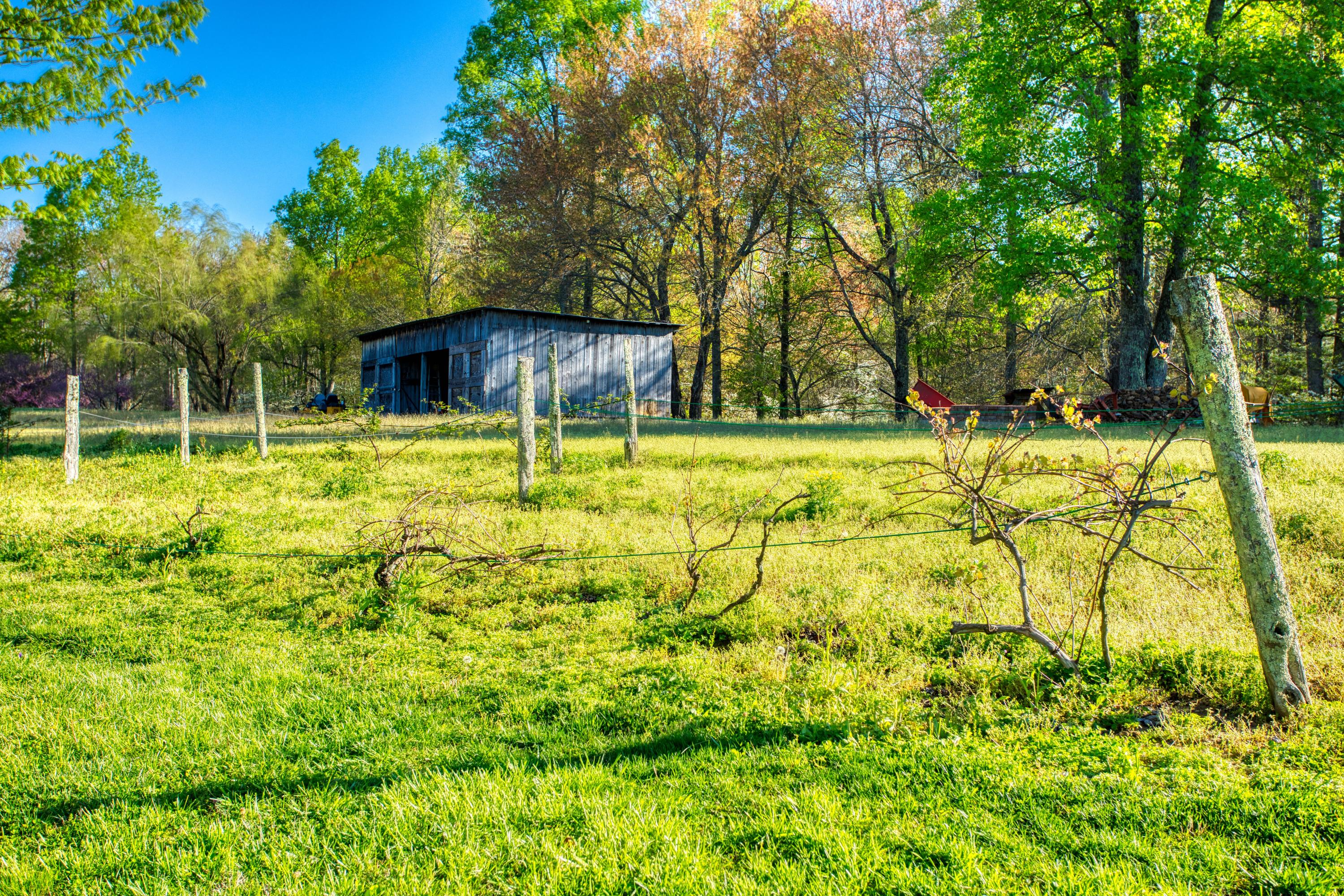 325 Old Wes Baldwin Road Jamestown, TN 38556 - Photo 32 of 37 Grape Views