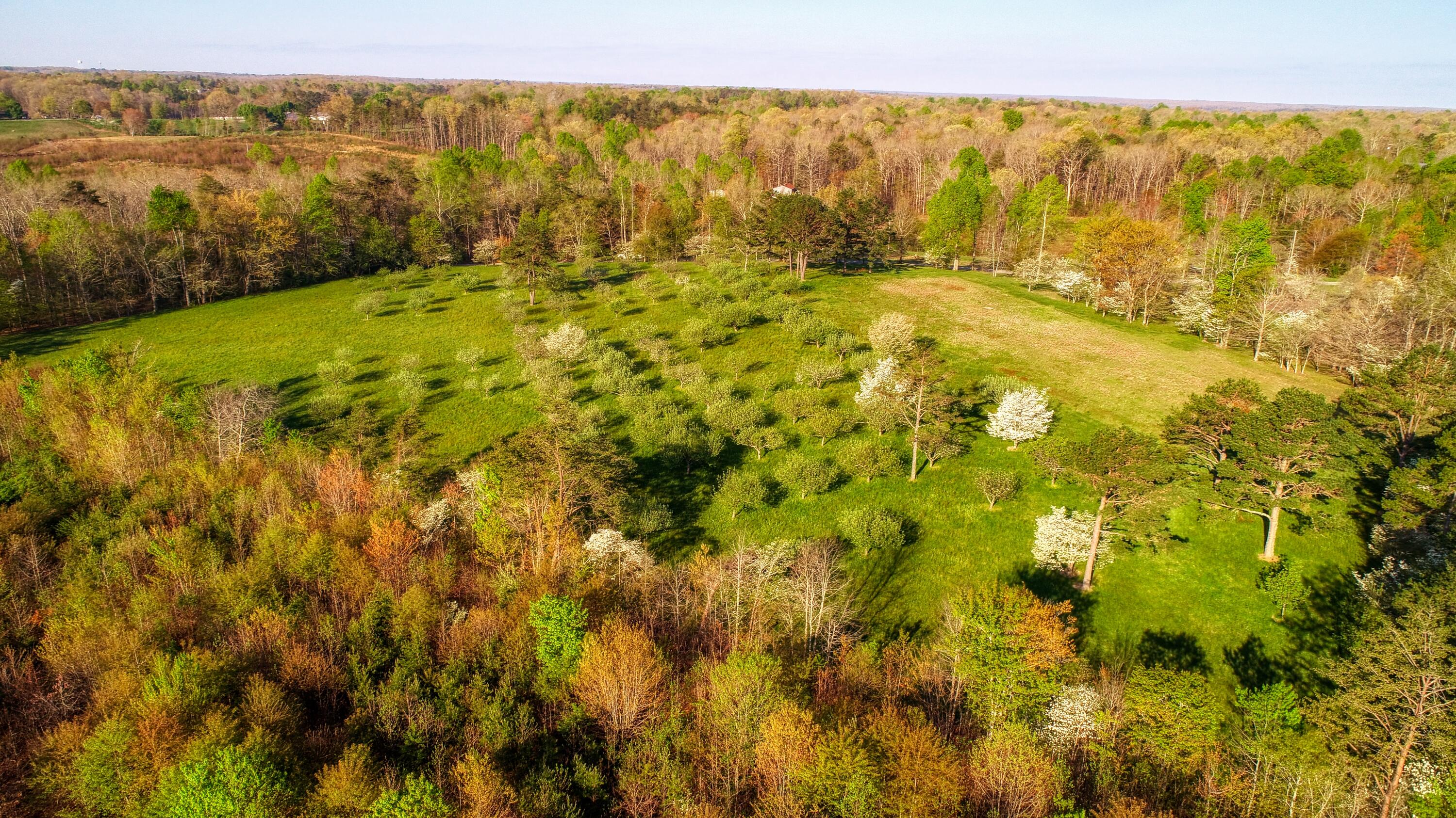 325 Old Wes Baldwin Road Jamestown, TN 38556 - Photo 35 of 37 Orchard