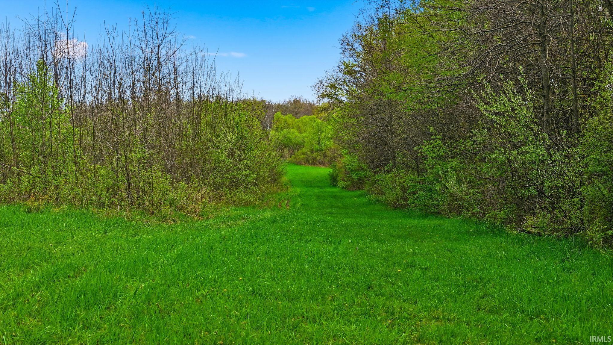 0 Hollopeter Road Leo, IN 46765 - Photo 12 of 25
